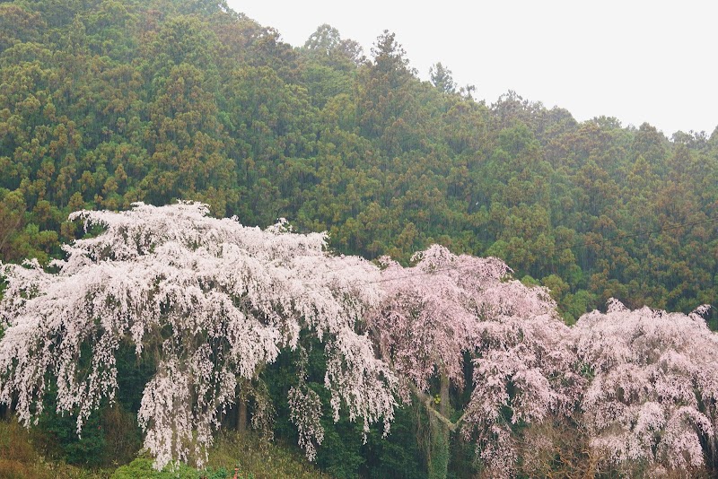 天照御祖神社