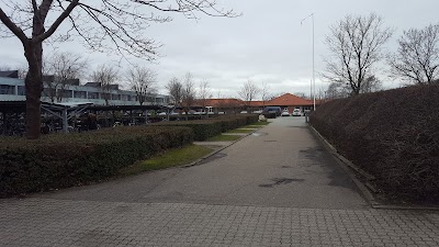 school