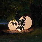 Photo n°1 de l'avis de Gunilla.e fait le 25/06/2019 à 20:45 sur le  Restaurant Die Wetterburg à Arolsen