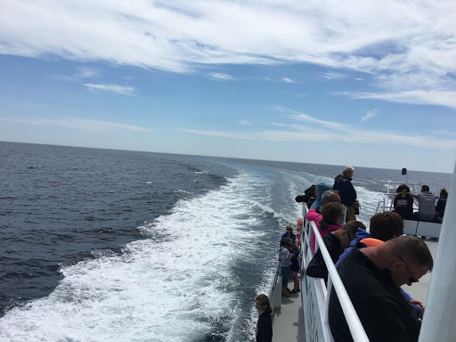 Whale Watching Tour Agency «7 Seas Whale Watch», reviews and photos, 63 Rogers St, Gloucester, MA 01930, USA