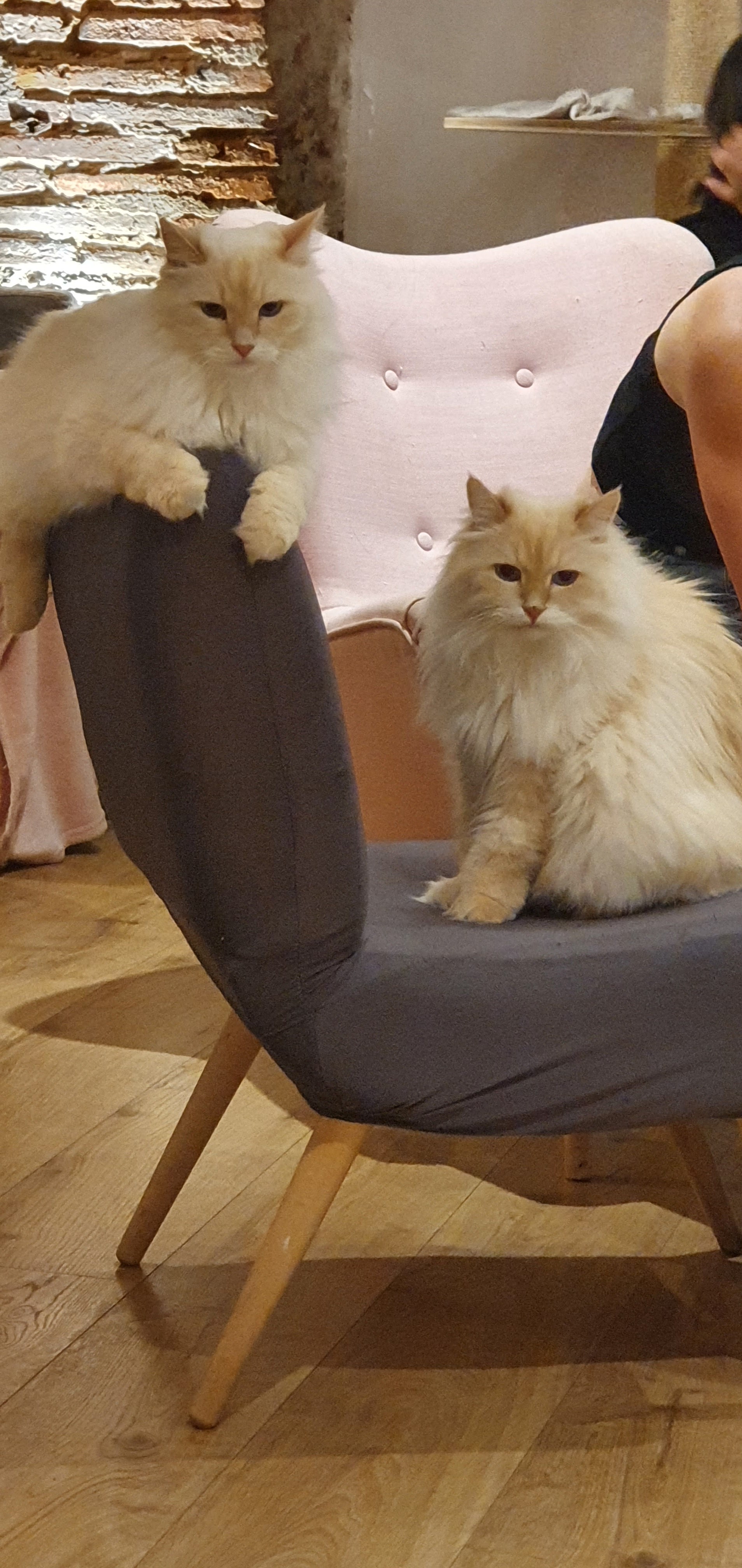 Photo n° 1 de l'avis de Martine.A fait le 25/08/2021 à 15:01
