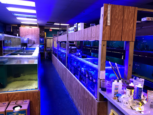 Pet Store «Pet World», reviews and photos, 7173 W Broward Blvd, Plantation, FL 33317, USA