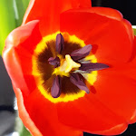 Photo n°1 de l'avis de Bruno.o fait le 16/09/2020 à 17:45 sur le  Offline à Gaeta