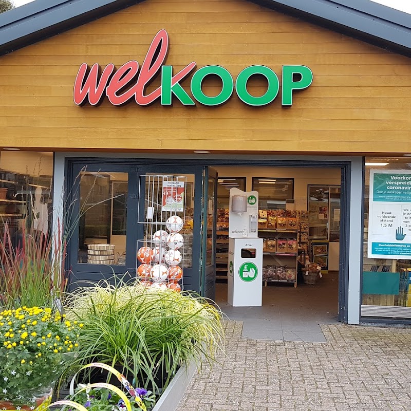 Welkoop Hollum | Ameland