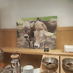 Photo n°5 de l'avis de Babs. fait le 14/01/2024 à 06:33 sur le  Hotel am Kamin à Kaufbeuren