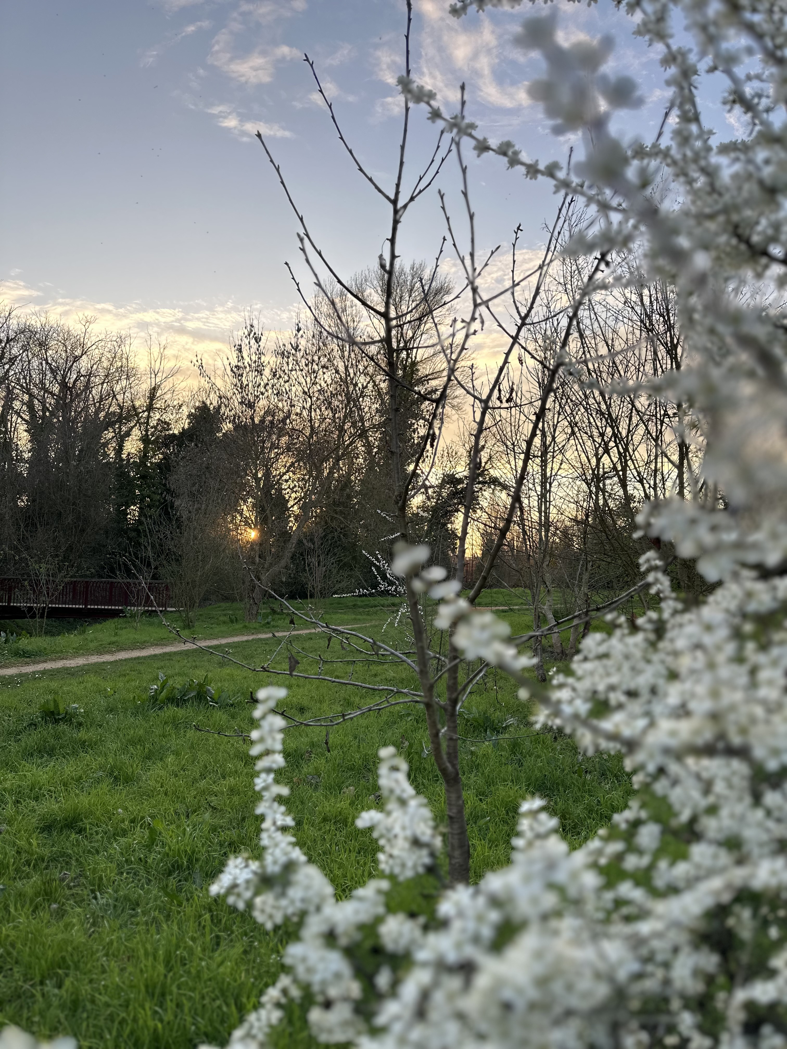 Photo n° 2 de l'avis de lamia.a fait le 14/03/2024 à 19:53