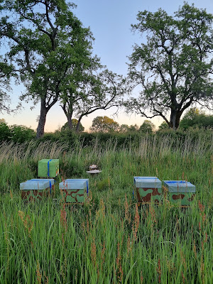 Au rucher de maissa - apiculteur à Champs-sur-Marne