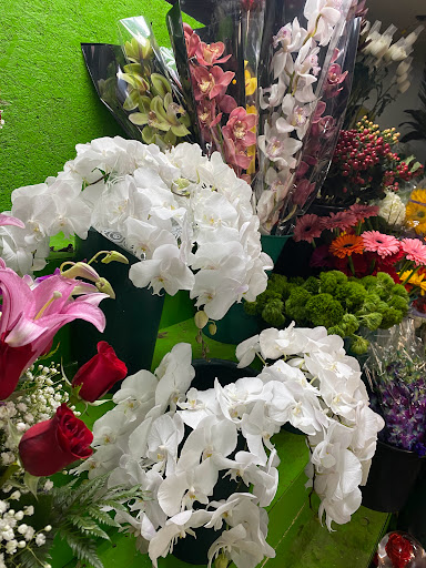 Florist «Flowers By Sanchez», reviews and photos, 78-10 Cypress Ave, Flushing, NY 11385, USA