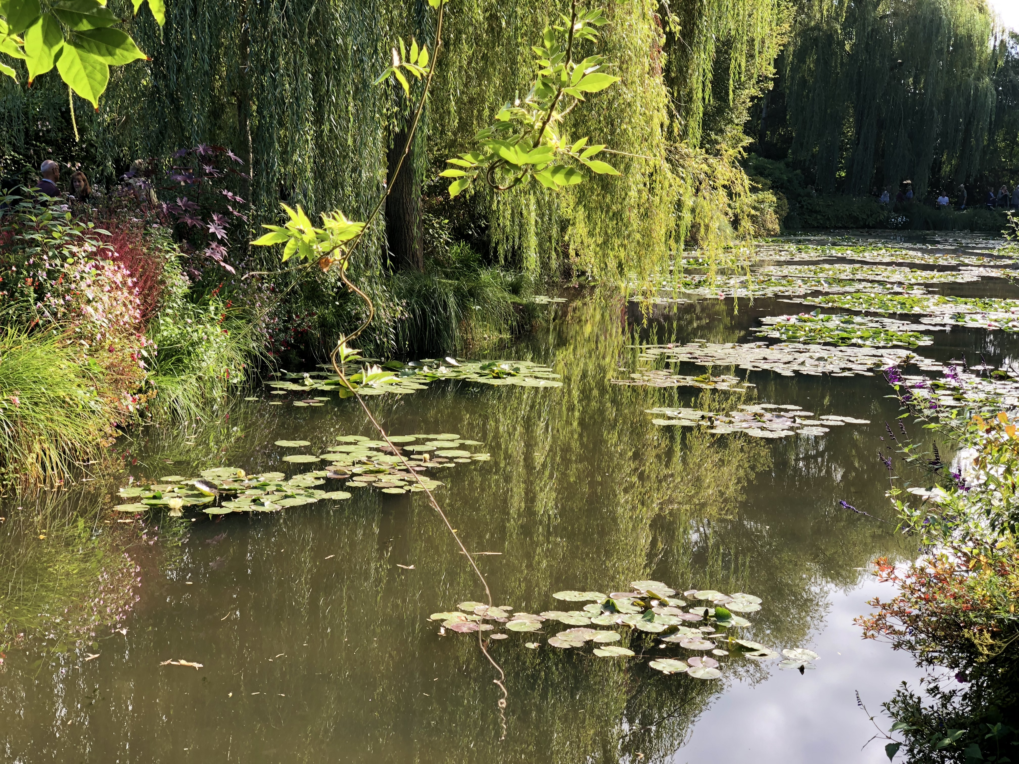 Photo n° 4 de l'avis de Igor.a fait le 25/10/2018 à 12:29