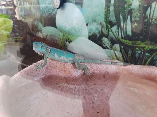 Pet Supply Store «Petco», reviews and photos, 1851 Sunrise Hwy, Bay Shore, NY 11706, USA