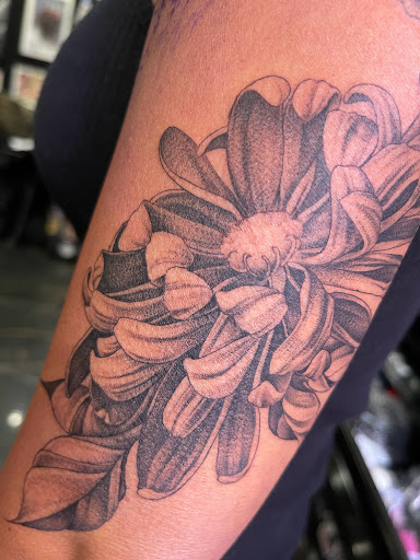 Explore dragon tattoo ideas for ladies, creative tattoo ideas in Ardmore, available at Mount Olympus Tattoo