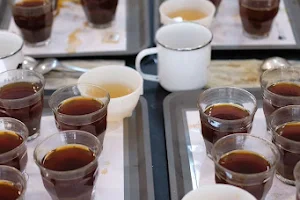 Paddle Brew Coffee Lab image