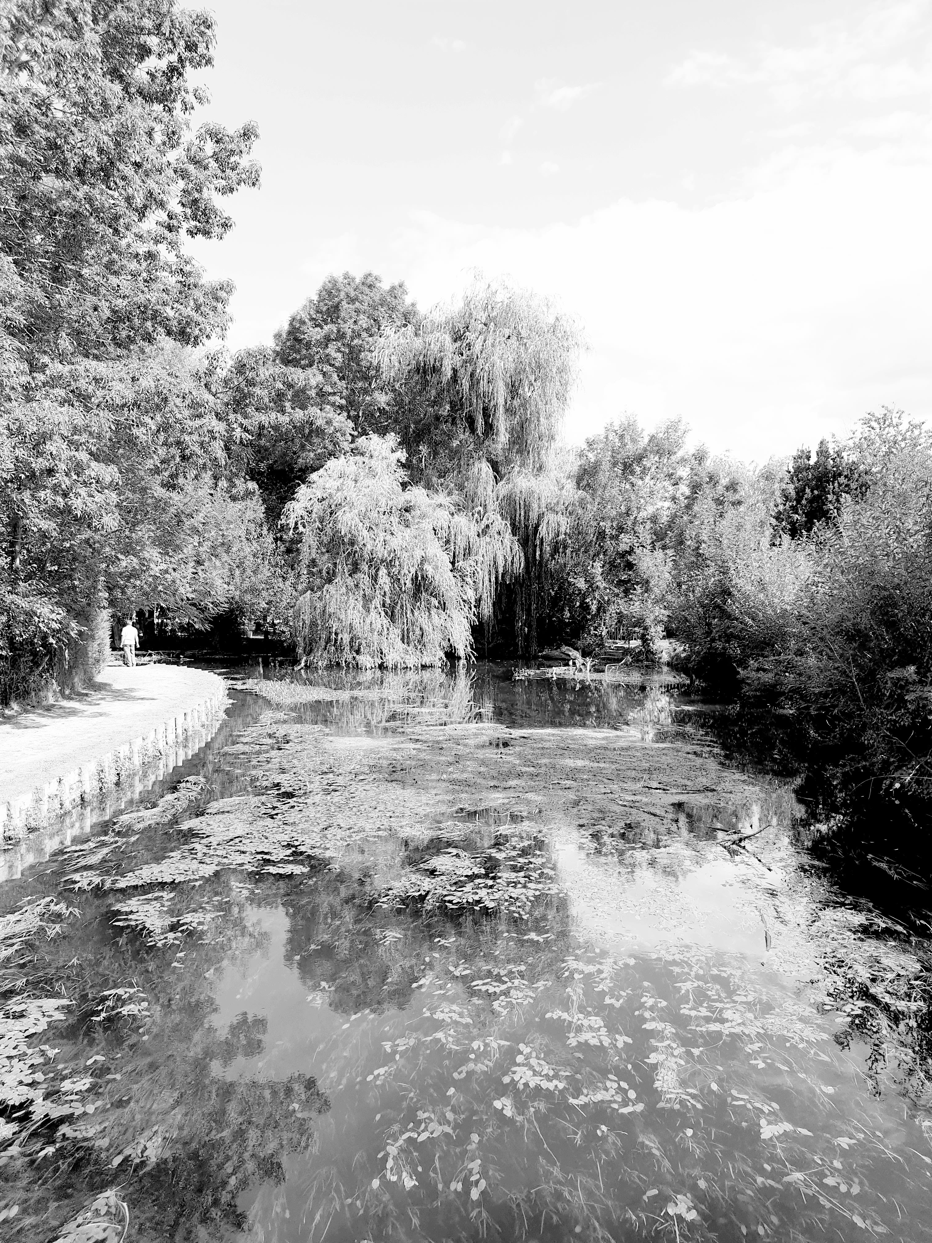Photo n° 2 de l'avis de Gilbert.O fait le 20/08/2019 à 16:00