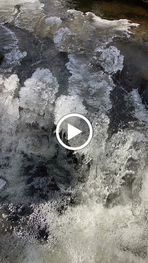 Nature Preserve «Wolf Rock Nature Preserve», reviews and photos, 251 Clover Mill Rd, Storrs, CT 06268, USA