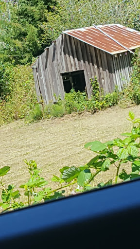 Golf Course «Cedar Bend Golf Course», reviews and photos, 34391 Cedar Valley Dr, Gold Beach, OR 97444, USA