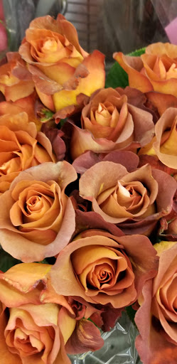 Albertsons image