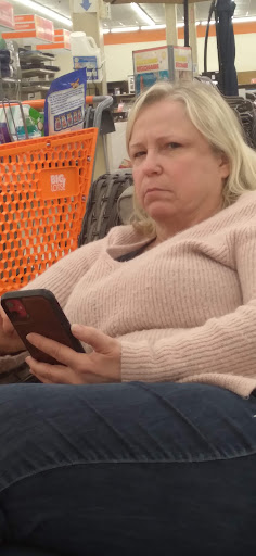 Discount Store «Big Lots», reviews and photos, 1751 Homer M Adams Pkwy, Alton, IL 62002, USA