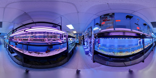 Aquarium Shop «Aquarium Depot», reviews and photos, 11762 SW 88th St, Miami, FL 33186, USA