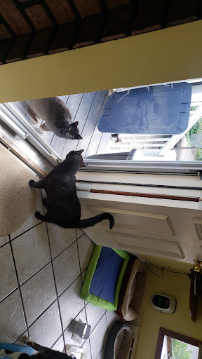 Pet Supply Store «PetSmart», reviews and photos, 187 Millburn Ave, Millburn, NJ 07041, USA