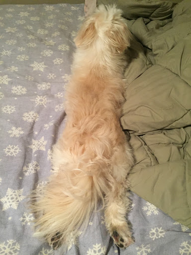 Pet Supply Store «Petco Animal Supplies», reviews and photos, 2001 15th Ave W b, Seattle, WA 98119, USA