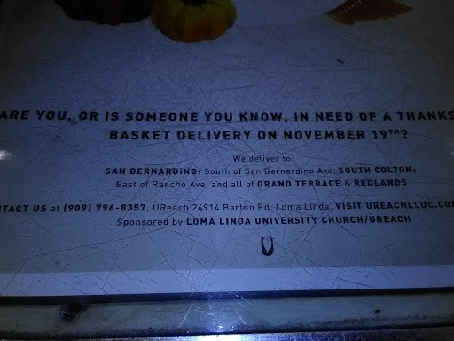 Thrift Store «Re:Live Thrift», reviews and photos