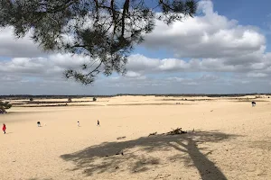 Uitkijkpunt Loonse & Drunense Duinen image