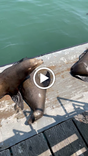 Canoe & Kayak Rental Service «Venture Quest Kayaking», reviews and photos, 2 Municipal Wharf, Santa Cruz, CA 95060, USA