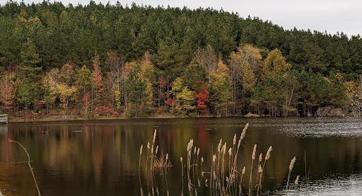 Firearms Academy «Tactical Response», reviews and photos, 116 Wood Ave, Camden, TN 38320, USA