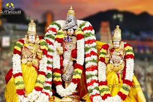 Padmavathi Travels image