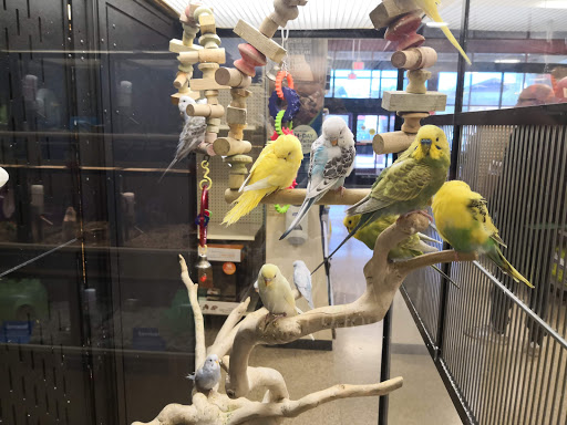 Pet Supply Store «PetSmart», reviews and photos, 23602 El Toro Rd, Lake Forest, CA 92630, USA