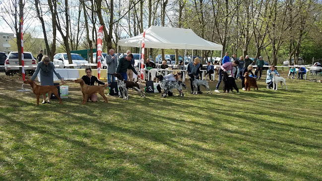 Értékelések erről a helyről: BEST DOG Kaposvári Kutyaiskola, Kaposvár - Állatorvos