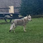 Photo n°5 de l'avis de Rober.a fait le 30/12/2023 à 23:49 sur le  Agriturismo Pelliccia à San Marcello Pistoiese