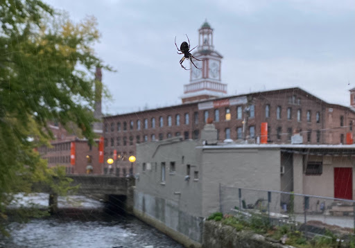 Drug Store «CVS», reviews and photos, 105 Main St, Maynard, MA 01754, USA