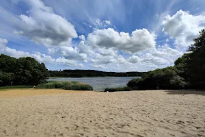 Frensham Great Pond image