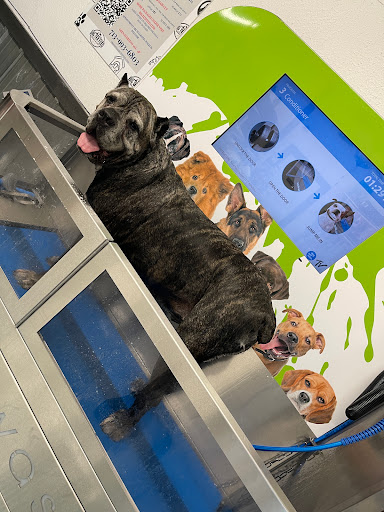 Pet Supply Store «Big Tex Feed & Pet Supply», reviews and photos, 7102 Cullen Blvd, Houston, TX 77021, USA