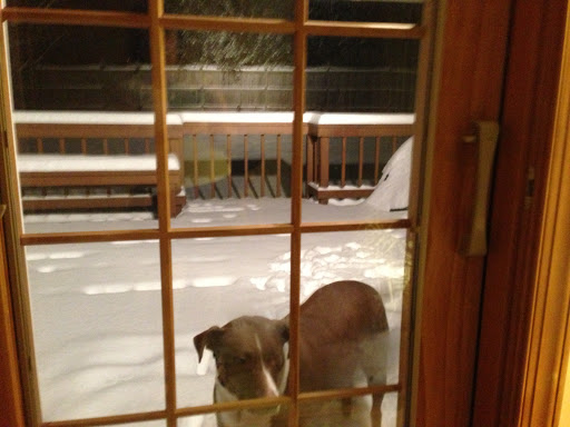 Pet Groomer «Fredericksburg Natural Pet», reviews and photos, 5320 Plank Rd, Fredericksburg, VA 22407, USA