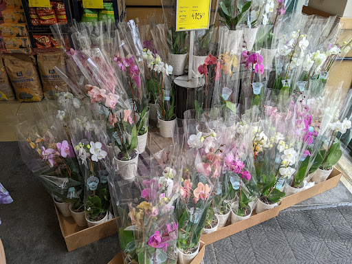 Grocery Store «Whole Foods Market», reviews and photos, 200 Harker Pl #100, Annapolis, MD 21401, USA