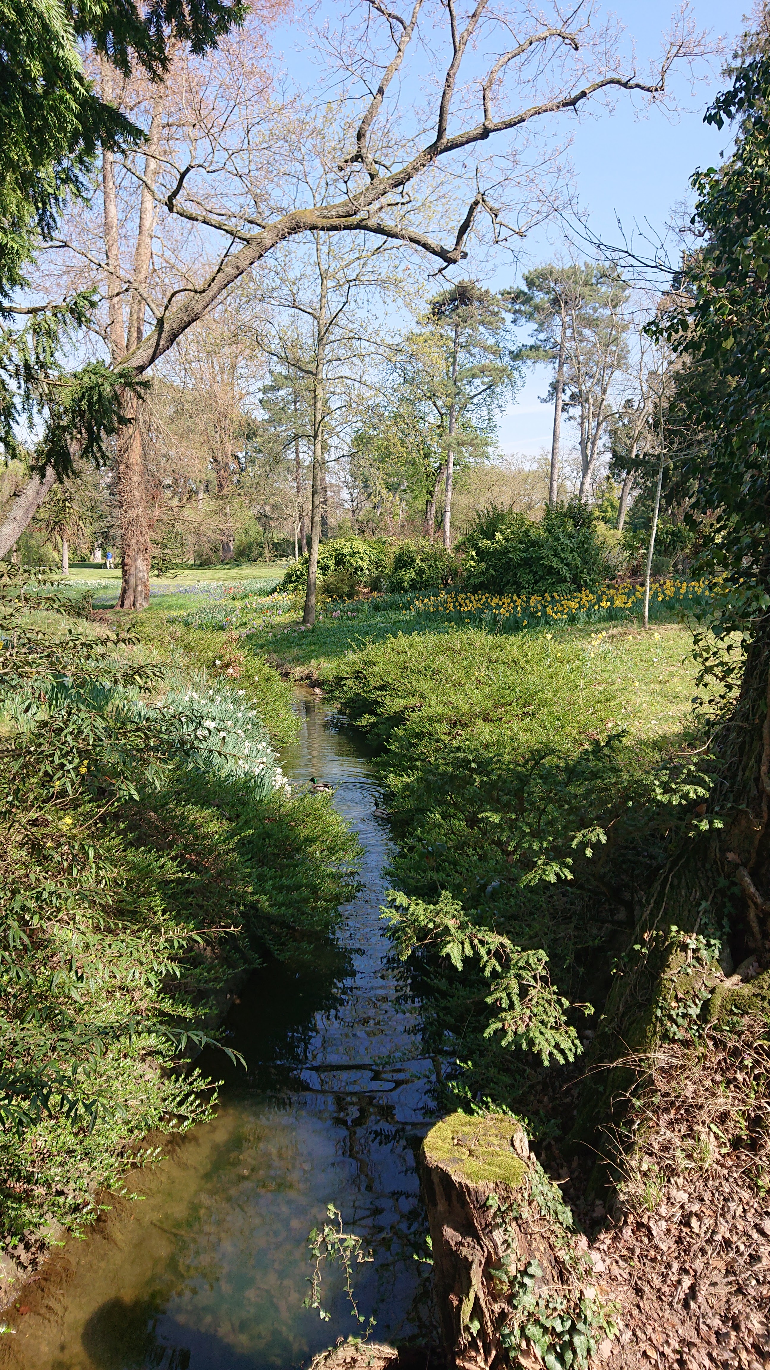 Photo n° 1 de l'avis de Vanina.a fait le 10/04/2023 à 14:40
