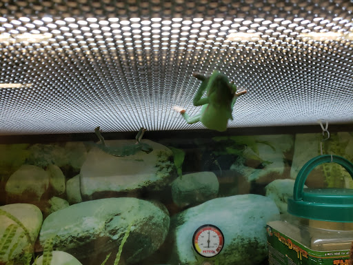 Pet Supply Store «Petco Animal Supplies», reviews and photos, 190 Quality Dr, Hooksett, NH 03106, USA