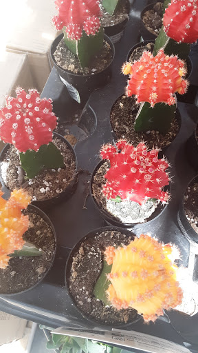 Home Improvement Store «The Home Depot», reviews and photos, 2580 Notre Dame Blvd, Chico, CA 95928, USA