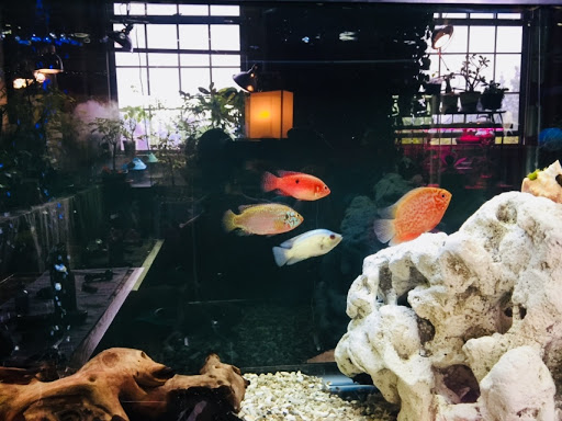 Pet Store «Pet Junction», reviews and photos, 146 NH-108, Dover, NH 03820, USA