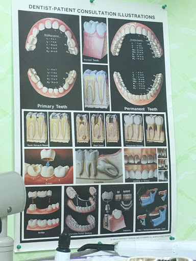 Steinway Dental PC image 2