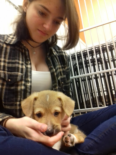 Pet Supply Store «Just Pets», reviews and photos, 8874 Maximus Dr, Lone Tree, CO 80124, USA