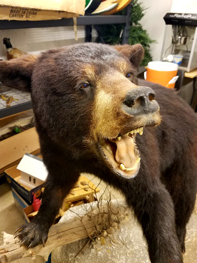 Museum «Harry C Barnes Memorial Nature Center», reviews and photos, 175 Shrub Rd, Bristol, CT 06010, USA