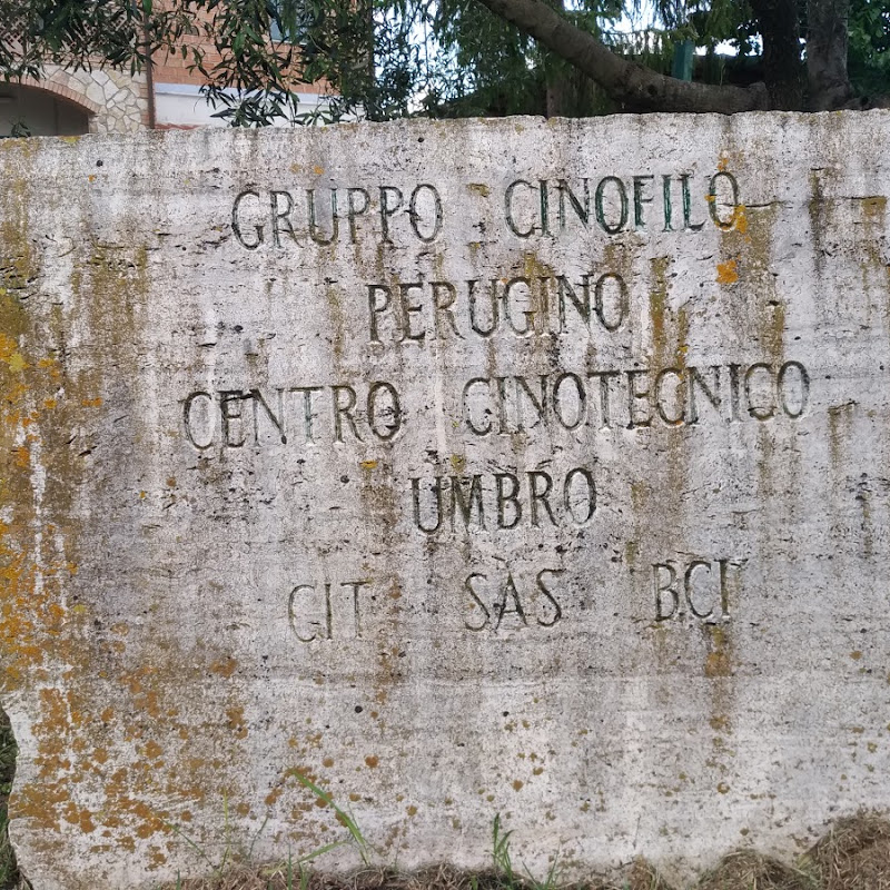 Gruppo Cinofilo Perugino