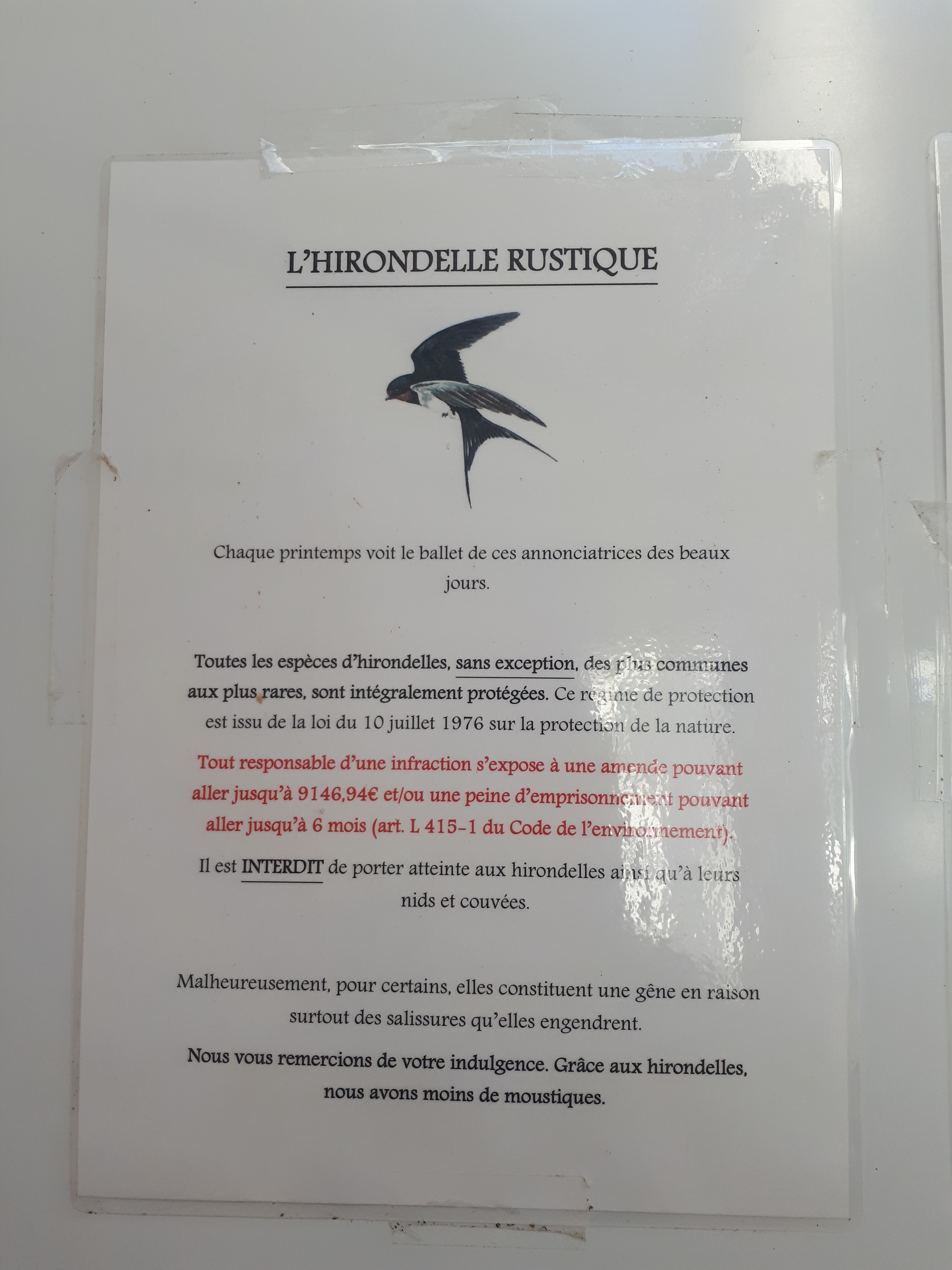 Photo n° 3 de l'avis de Al. fait le 16/08/2020 à 14:37