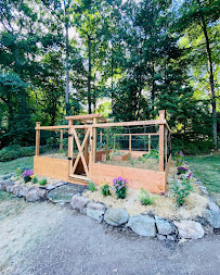 BACK TO NATURE - Photo 9 - Car repair in Stamford, CT, Stamford