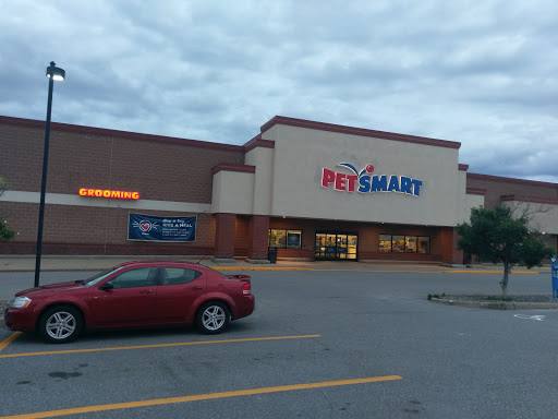 Pet Supply Store «PetSmart», reviews and photos, 21 Trader Ln, Williston, VT 05495, USA