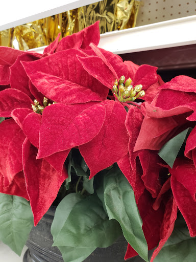 Discount Store «Big Lots», reviews and photos, 1815 Pulaski Hwy, Edgewood, MD 21040, USA