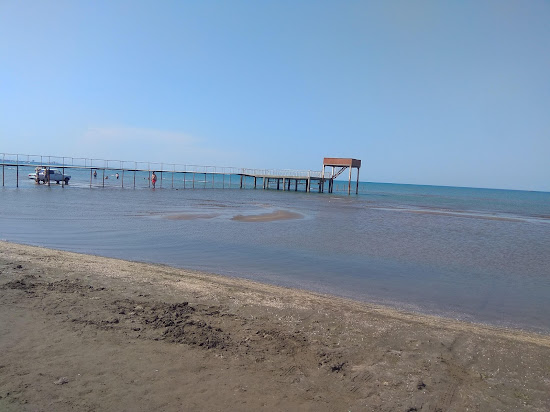 Novxani Cimerliyi